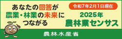 キャンペーンサイト
