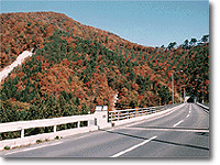 紅葉の景勝地